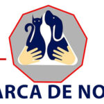 ARCA DE NOE